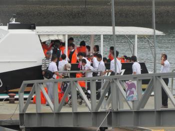 イルカウォッチング イルカウォッチング