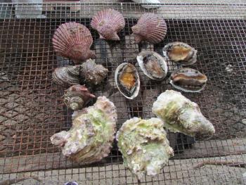 海鮮焼き 海鮮焼き