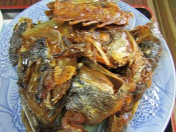 おすすめ定食 おすすめ定食