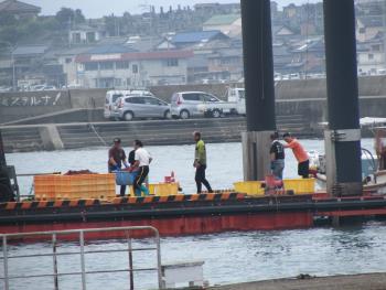 トサカ漁 トサカ漁