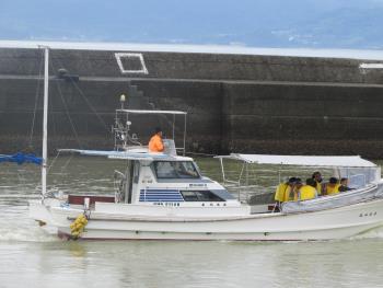 イルカウォッチング イルカウォッチング