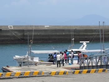 イルカウォッチング イルカウォッチング