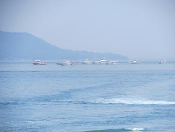 イルカウォッチング イルカウォッチング