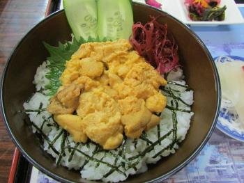 ウニ丼 ウニ丼