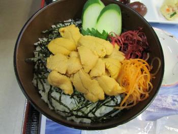 ウニ丼 ウニ丼