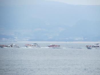 イルカウォッチング イルカウォッチング