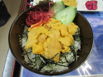 ウニ丼 ウニ丼