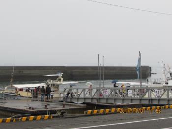 イルカウォッチング イルカウォッチング