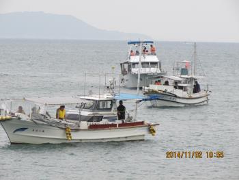 イルカウォッチング イルカウォッチング