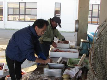 ガラカブかけ ガラカブかけ