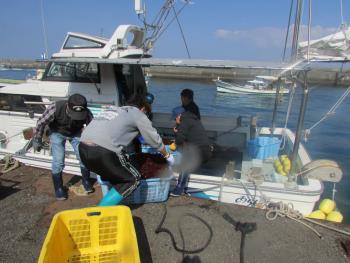 トサカかけ トサカかけ