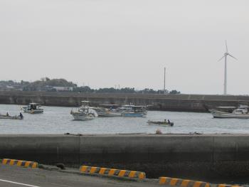 ワカメ漁 ワカメ漁