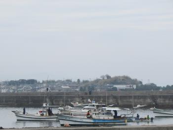 ワカメかけ ワカメかけ