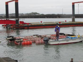 イカダ作り イカダ作り