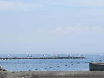 トサカ漁 トサカ漁