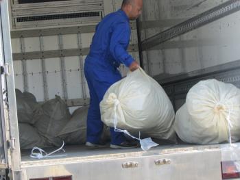 ヒジキかけ ヒジキかけ