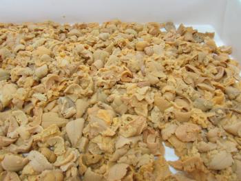 宝多ウニ 宝多ウニ