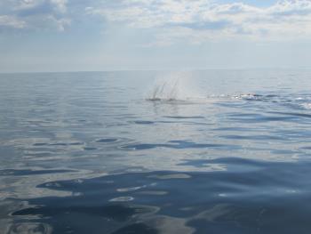 ジャンプ ジャンプ