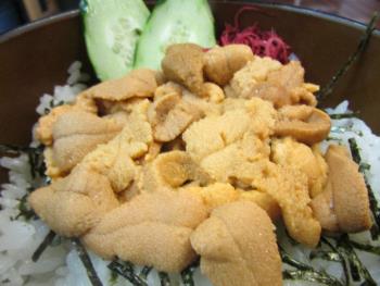 宝多ウニ丼 宝多ウニ丼