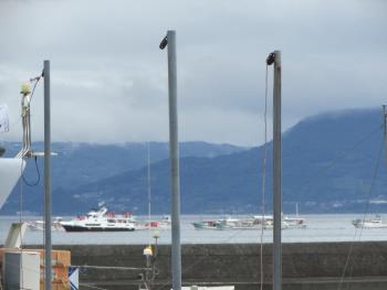 イルカウォッチング イルカウォッチング