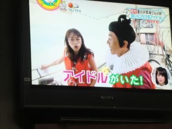 イルカウォッチング イルカウォッチング