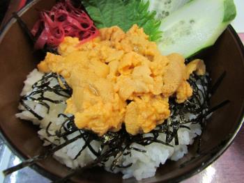 宝多うに丼 宝多うに丼
