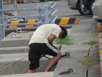台風対策 台風対策