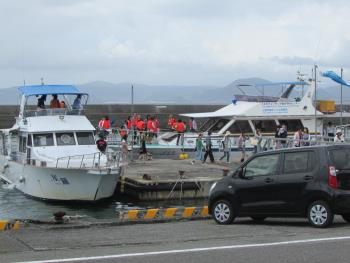 イルカウォッチング イルカウォッチング