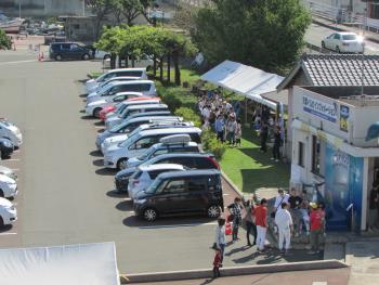 イルカウォッチング イルカウォッチング