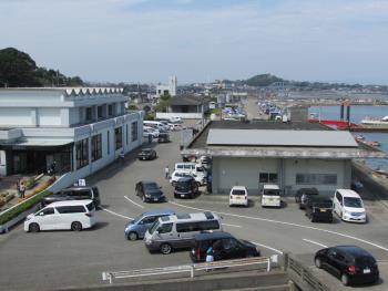 イルカウォッチング イルカウォッチング