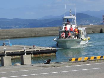 イルカウォッチング イルカウォッチング