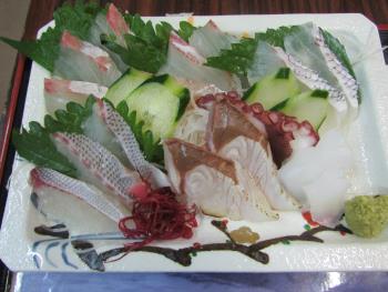 刺身定食 刺身定食