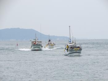 イルカウォッチング イルカウォッチング