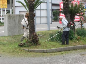 ボランティア ボランティア