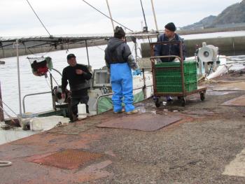 水揚げ 水揚げ