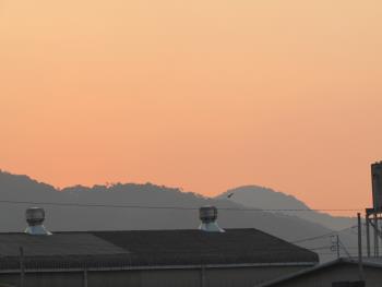 初日の出 初日の出