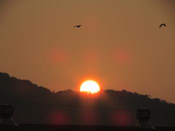 初日の出 初日の出