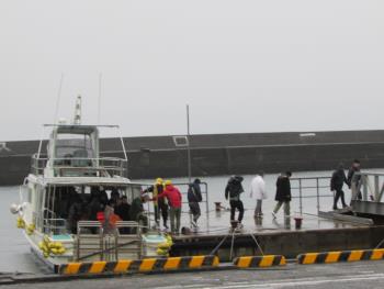 イルカウォッチング イルカウォッチング