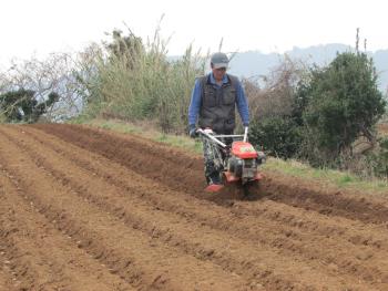 ジャガイモ ジャガイモ