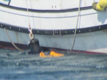 ナマコ獲り ナマコ獲り