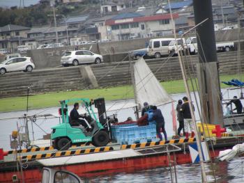 トサカ漁 トサカ漁