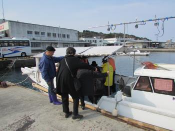 イルカウォッチング イルカウォッチング