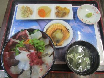 イルカウォッチングセット イルカウォッチングセット