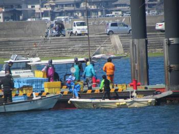 ワカメ出荷 ワカメ出荷