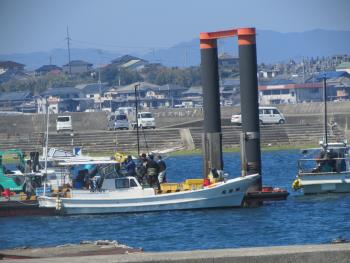 ワカメ漁 ワカメ漁