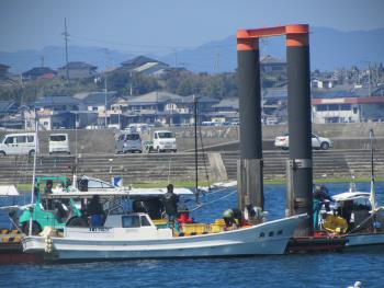 ワカメ出荷 ワカメ出荷