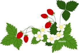 イラスト イラスト