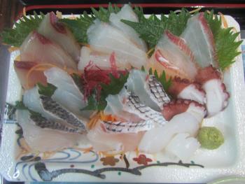 刺身定食 刺身定食