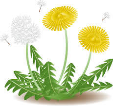 イラスト イラスト