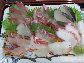 刺身定食 刺身定食